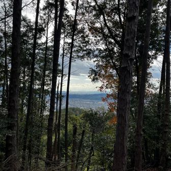 鏡山は少しだけ眺望✨