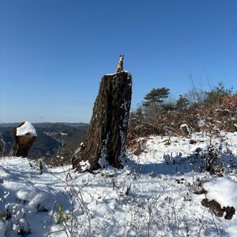 あー😳✨
ひょっとしてあれかな？