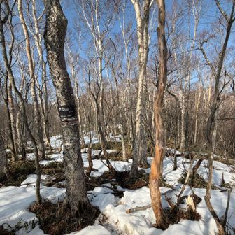 さる山山頂？表示あるからそうだと思われる🤔