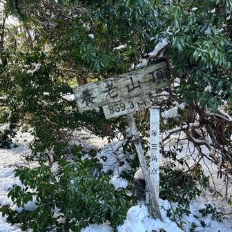 養老山頂に着きました。