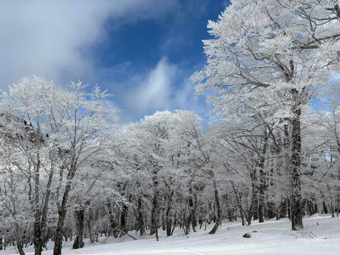 明神平-明神岳-判官平-桧塚奥峰 往復コースの写真