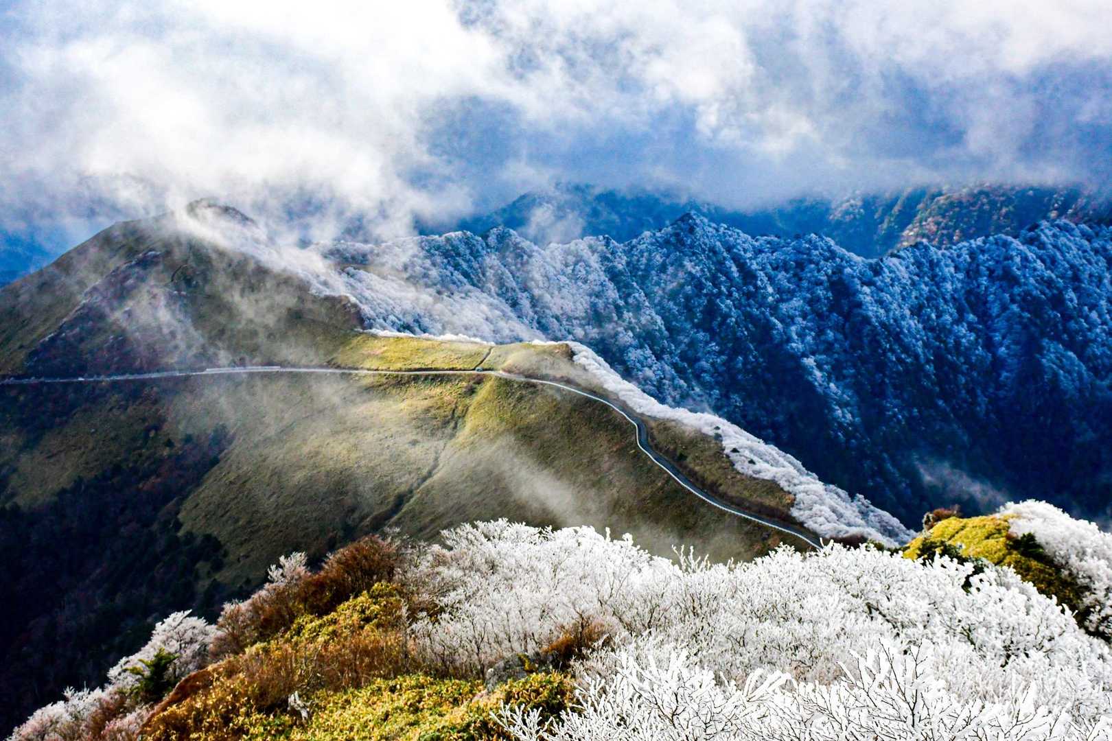 東黒森-伊予富士 往復コースの写真