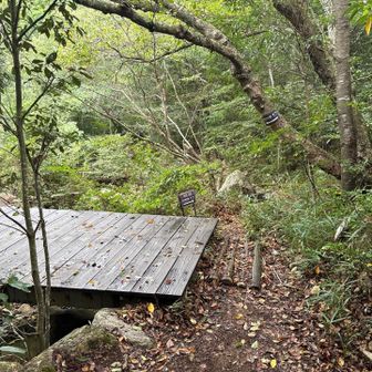 ここで森林植物園年間パスを持ってきてない事に気づく。
セコいので行き先を新神戸駅に変更。
掬星台X  森林植物園X  カレーが遠ざかる...
おんたき茶屋ってカレーあったっけ？