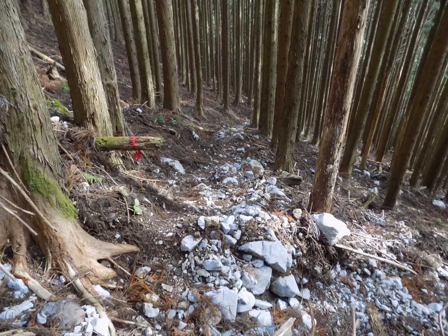 足元注意で下ります。