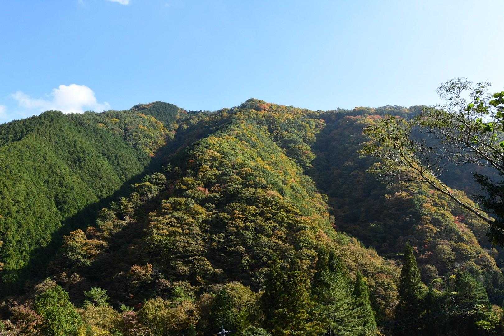 三頭越-寒風越-竜王峠-竜王山-竜王山 周回コースの写真