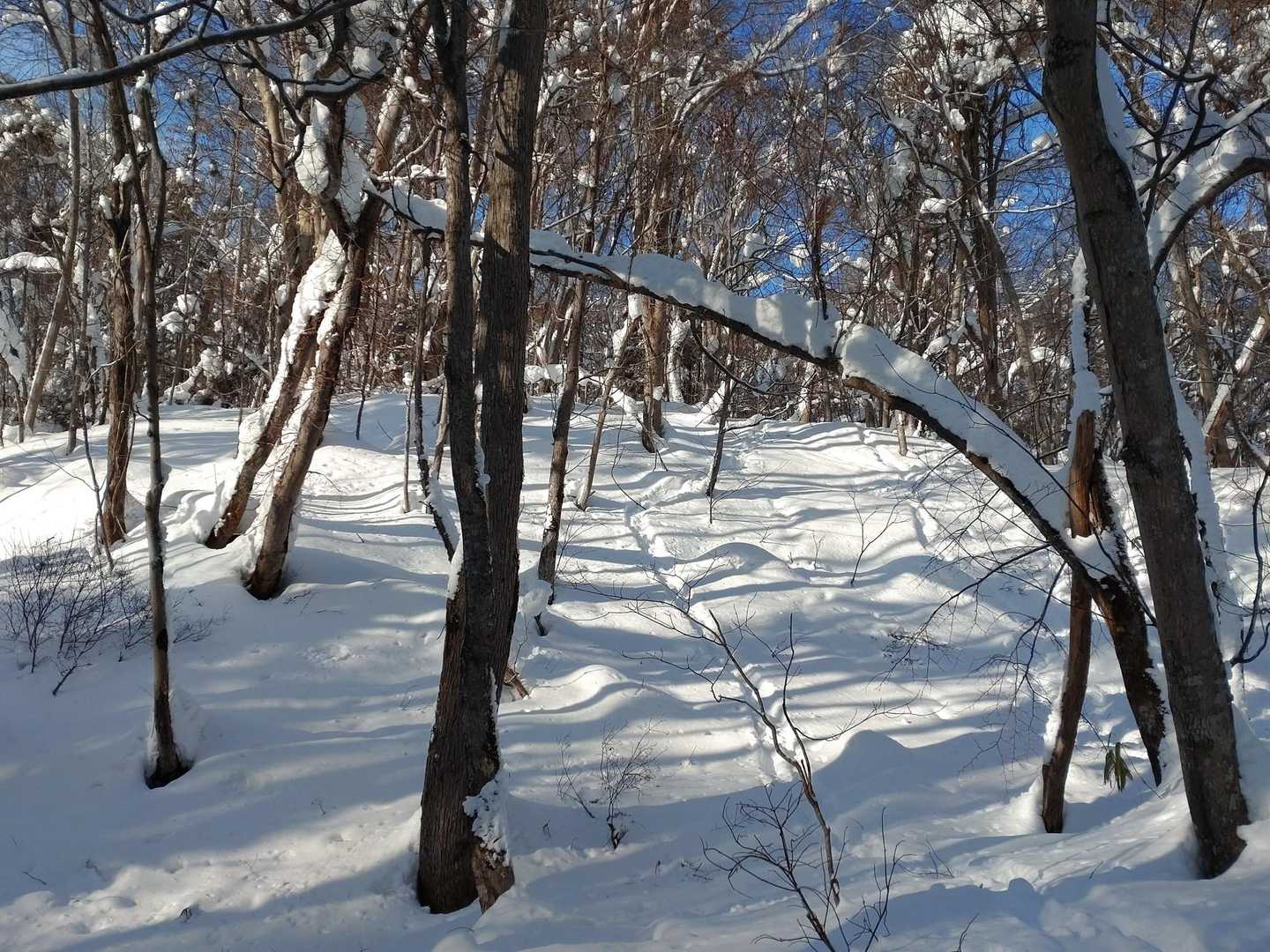 何段か急登あり。
