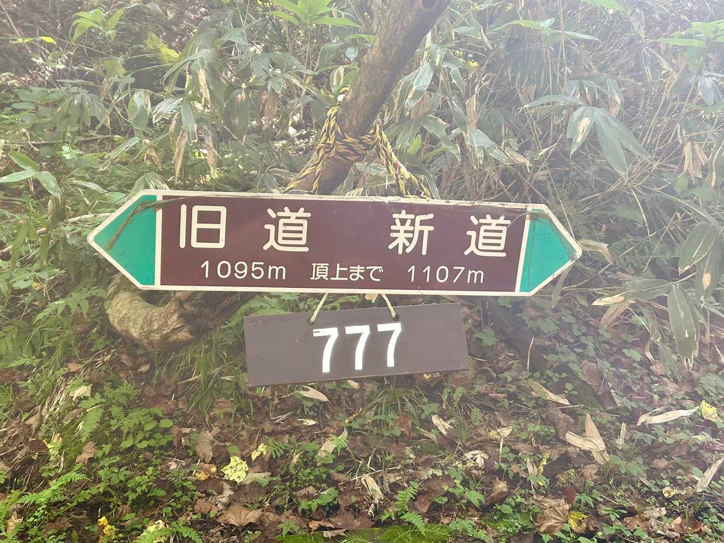 黄金山登山口-黄金山 往復コースの写真
