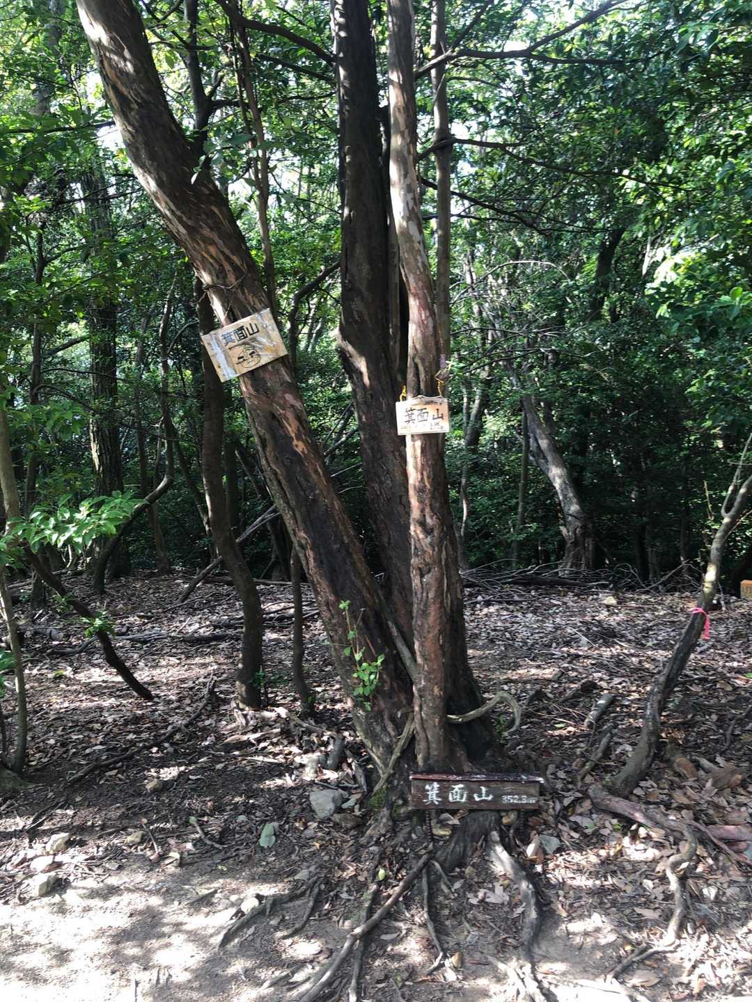 三国峠-石子詰登山口 周回コースの写真