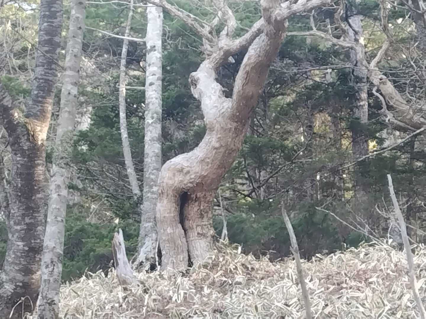 なんか
艶めかしい