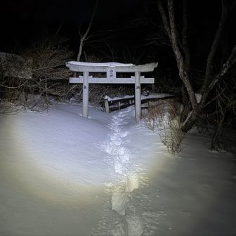 今年もよろしくおねがいします🙏