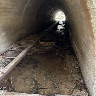 紀勢本線下の土管を歩きます。
