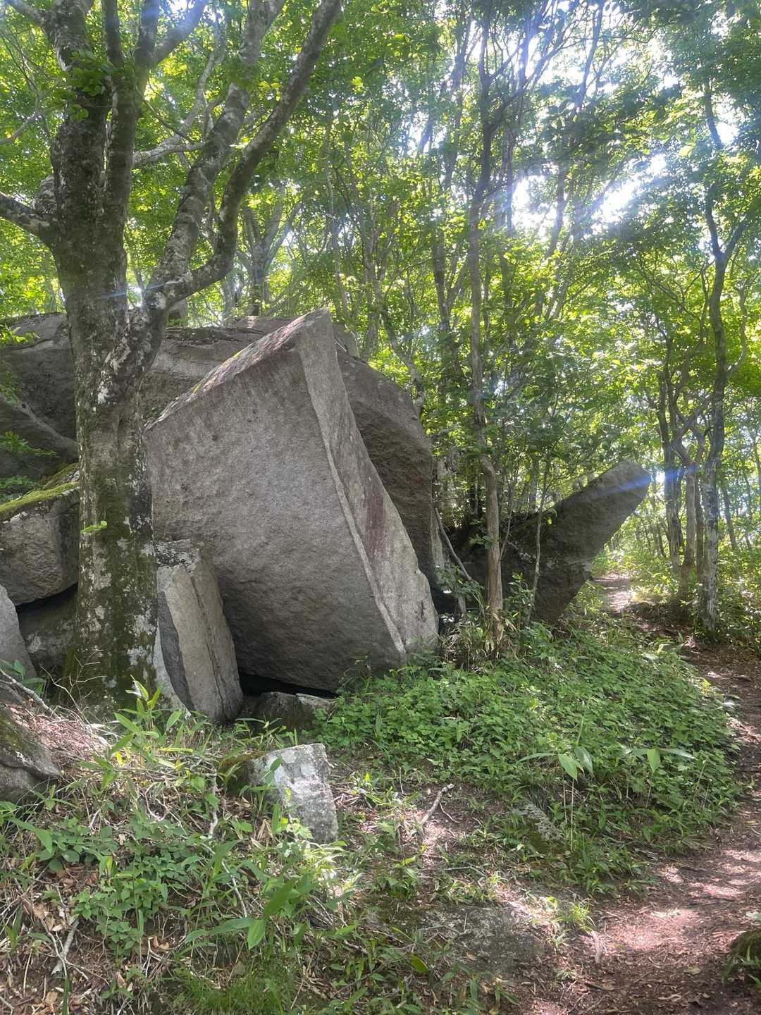 日山 往復コースの写真