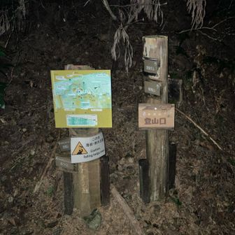 きゅうざかの道から登ります。