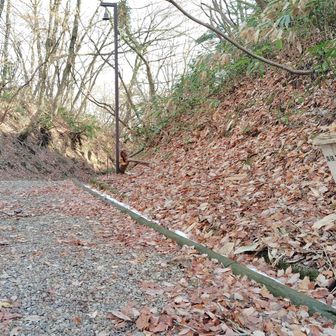 右のピークへ行きたかったけど、今日はランシューズで滑るし、厳しそうなので諦める