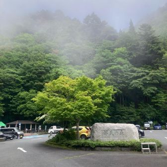 二輪の方が実は多数