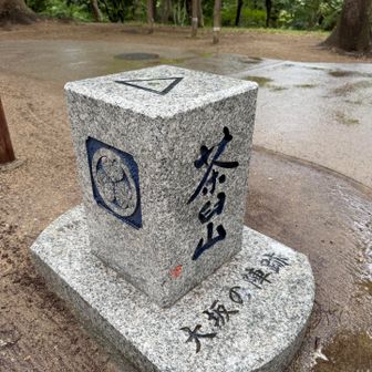 立派な茶臼山三角点　陣跡は葵の御紋入り