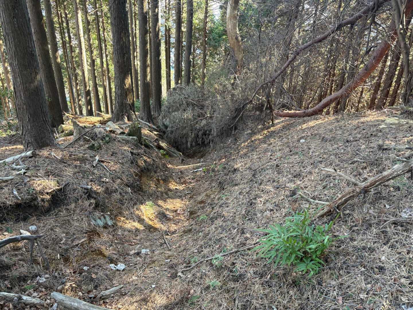 完全に塞がれてる💦
左側に迂回路が出来上がってた👍