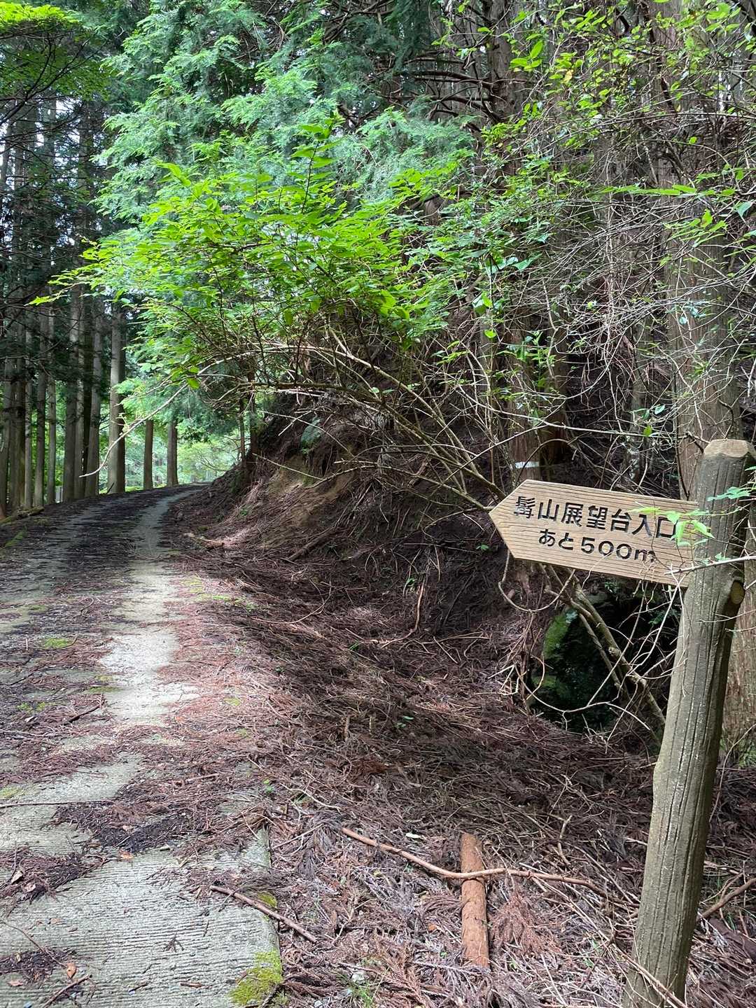 ふむふむ🤨