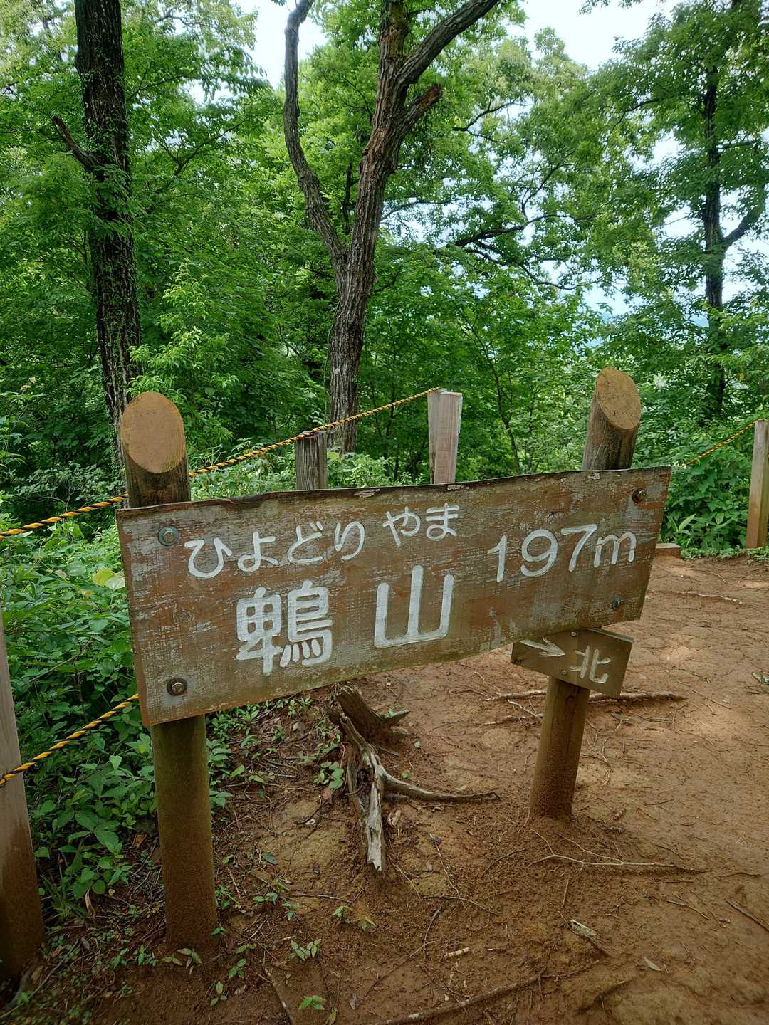 お久しぶりの鵯山🙌