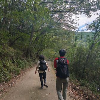 蜘蛛の心配がない舗装路に出ると、リードを外してもらった犬のように走り出す