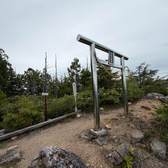名残惜しいが時間ないので退散