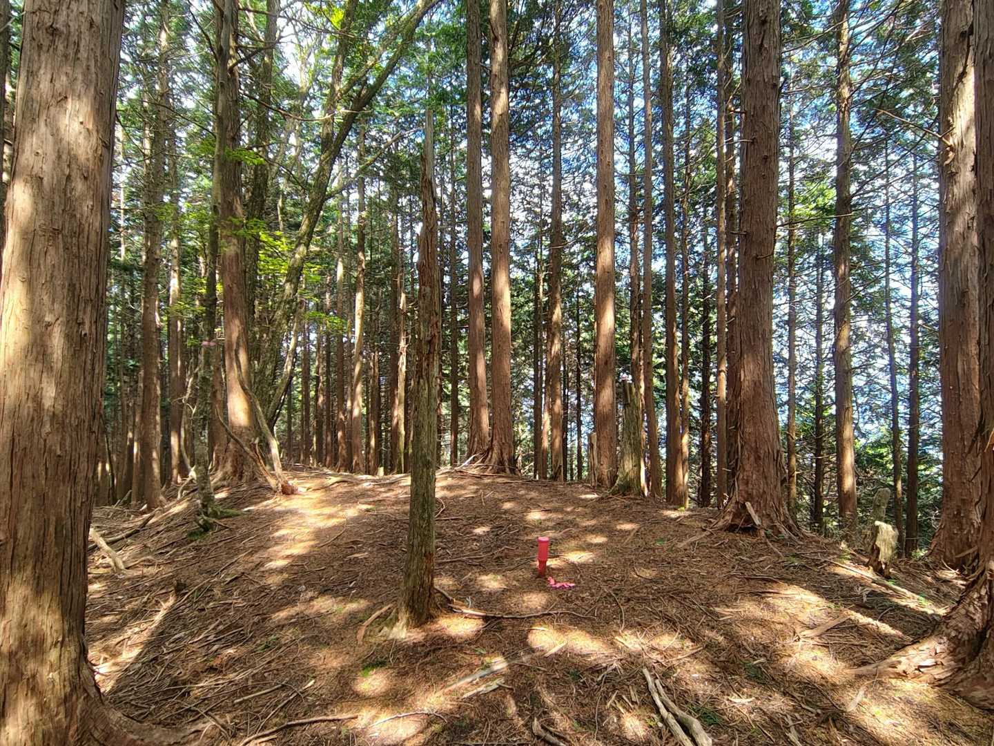薊岳に到着👏