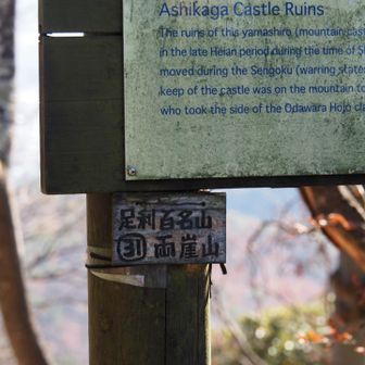 なぜか両崖山にある足利百名山の看板は控えめ。かわいい笑