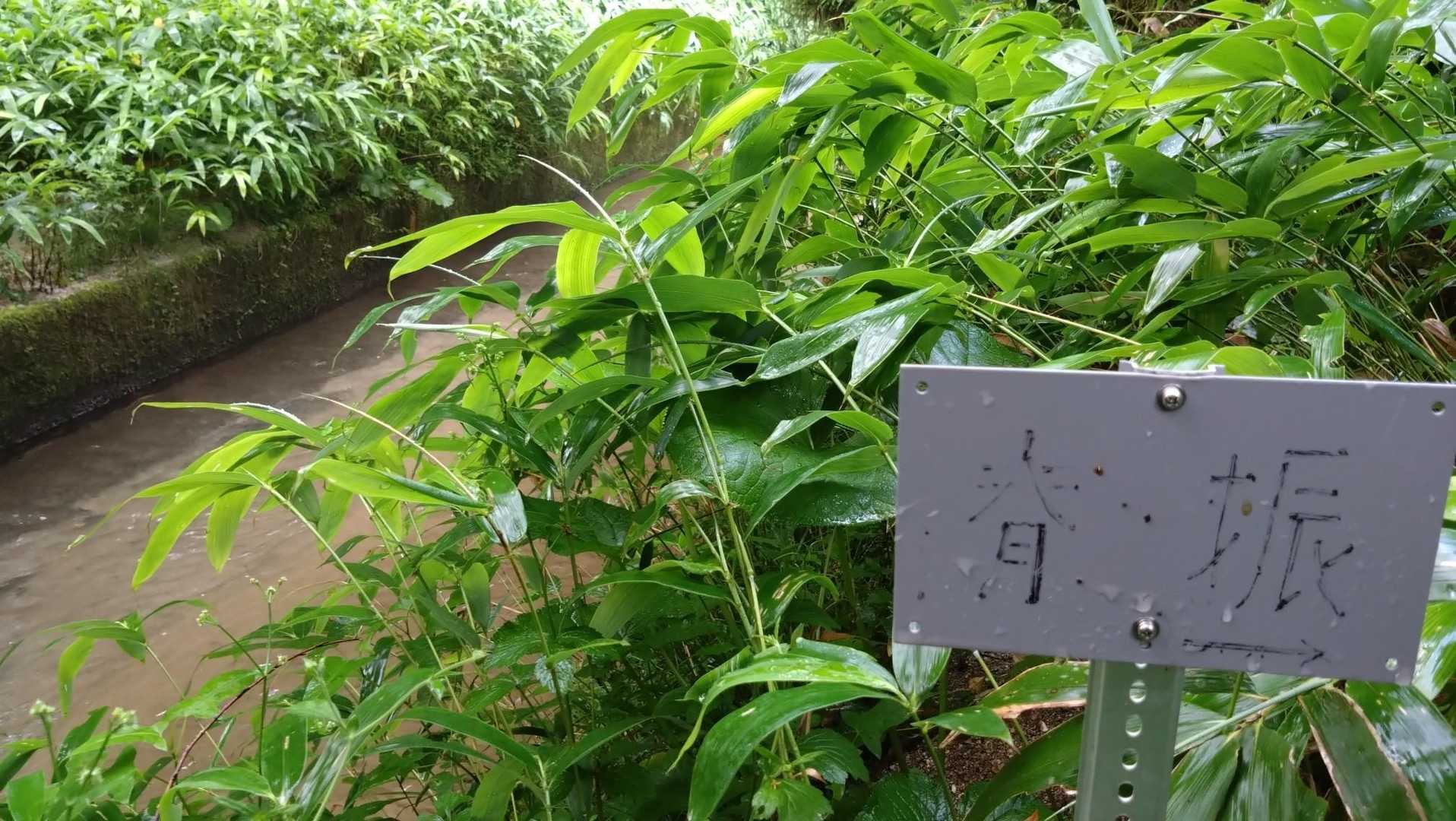 看板あった💦