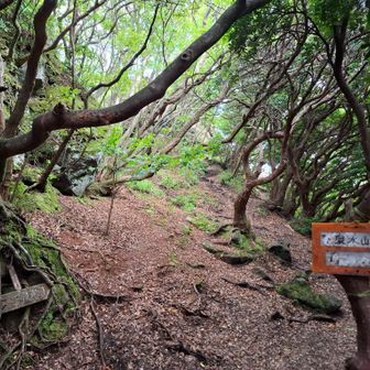 泉水山。
