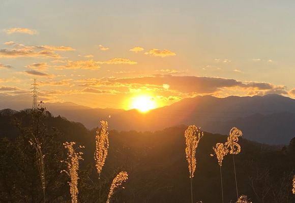 宝ヶ峯（愛媛・284m）| 登山ルート・天気 | YAMAP / ヤマップ