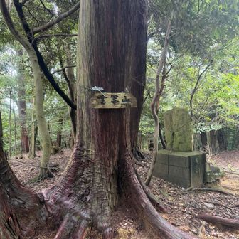 頂上