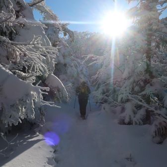 日がずいぶん落ちて来た