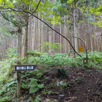 鯛ノ巣山 登山道入口
