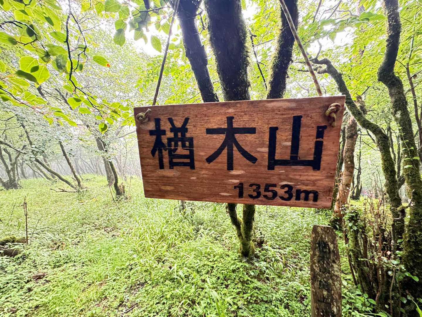 平坦なので通り過ぎるところだった💦