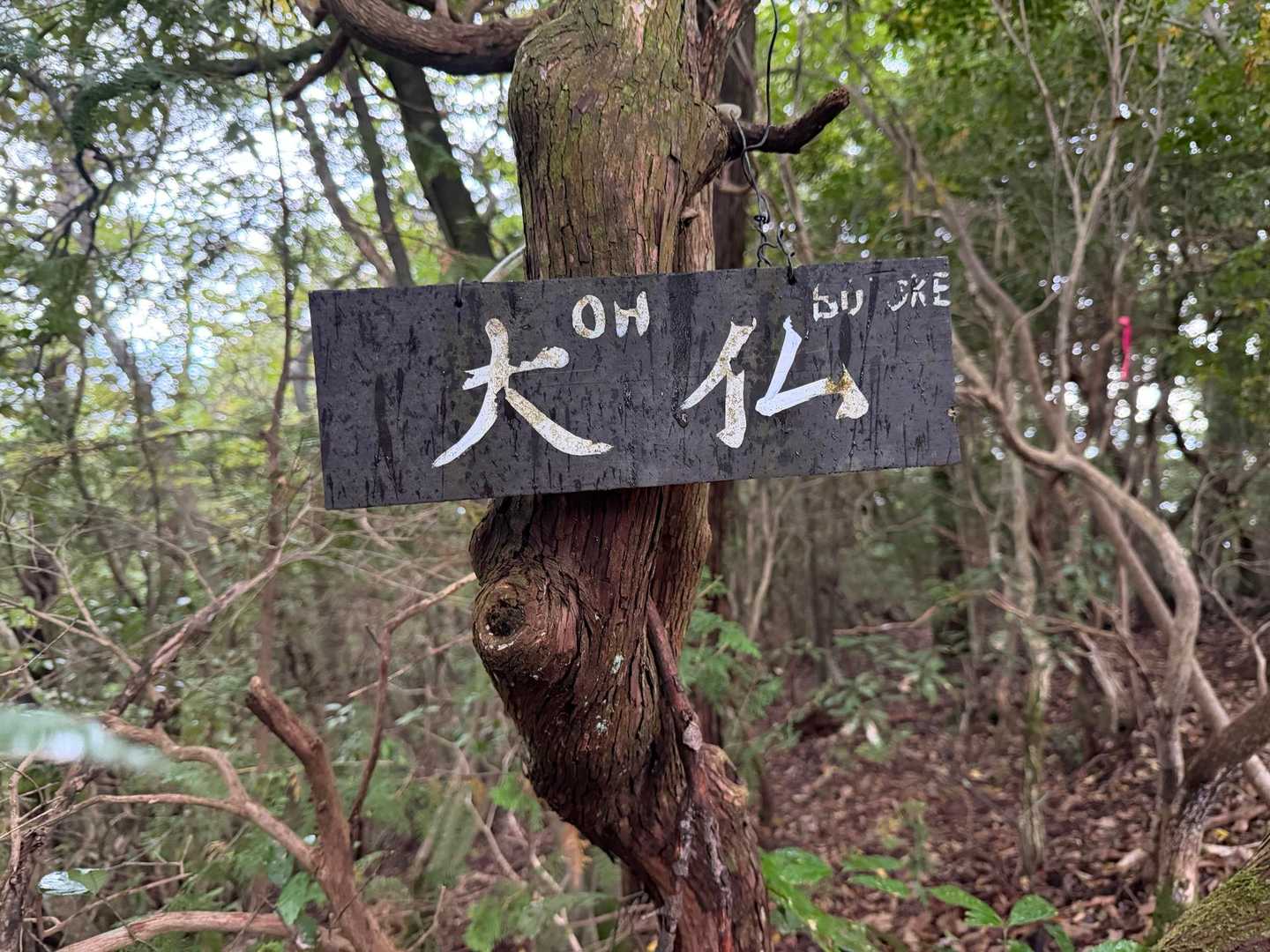 高沢山-大仏山-本城山 周回コースの写真