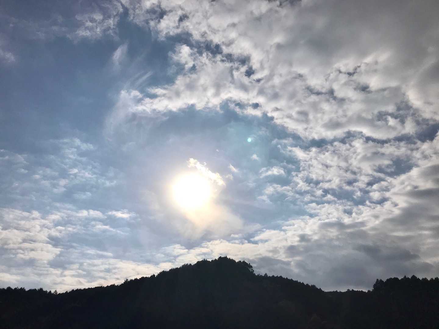 奥山 周回コースの写真