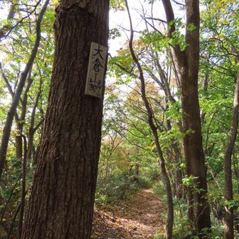 大倉山着