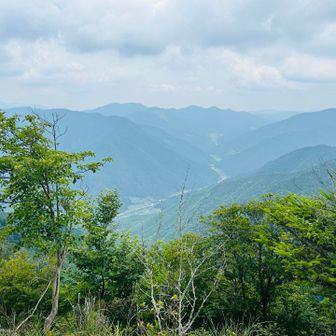 良いのだが。
