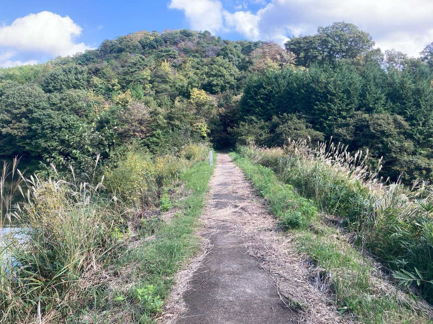 八尾山-亀ヶ岳 周回コースの写真