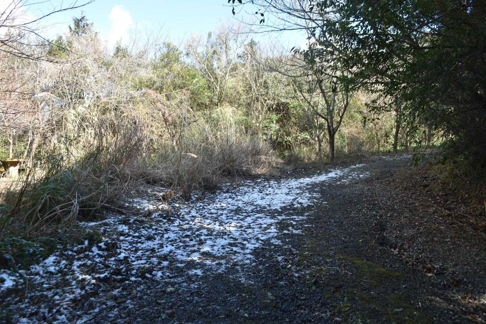 このあたりも雪が😲。
