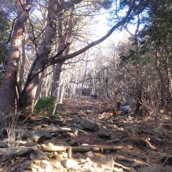 見晴茶屋を超えると丹沢らしくなります