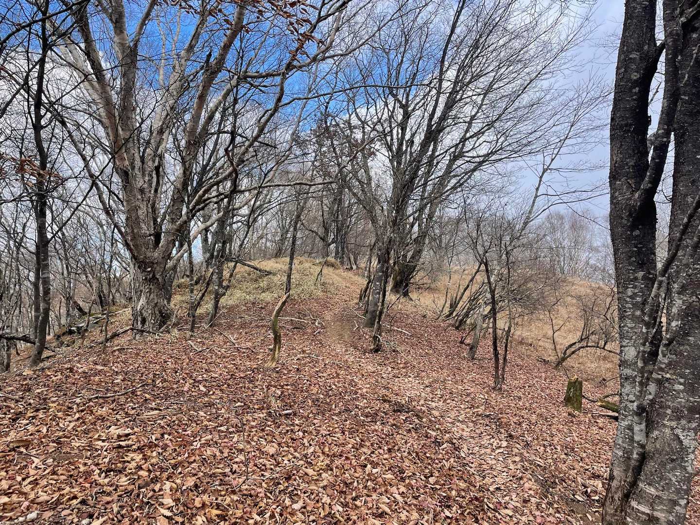 少し晴れ間が見えて
