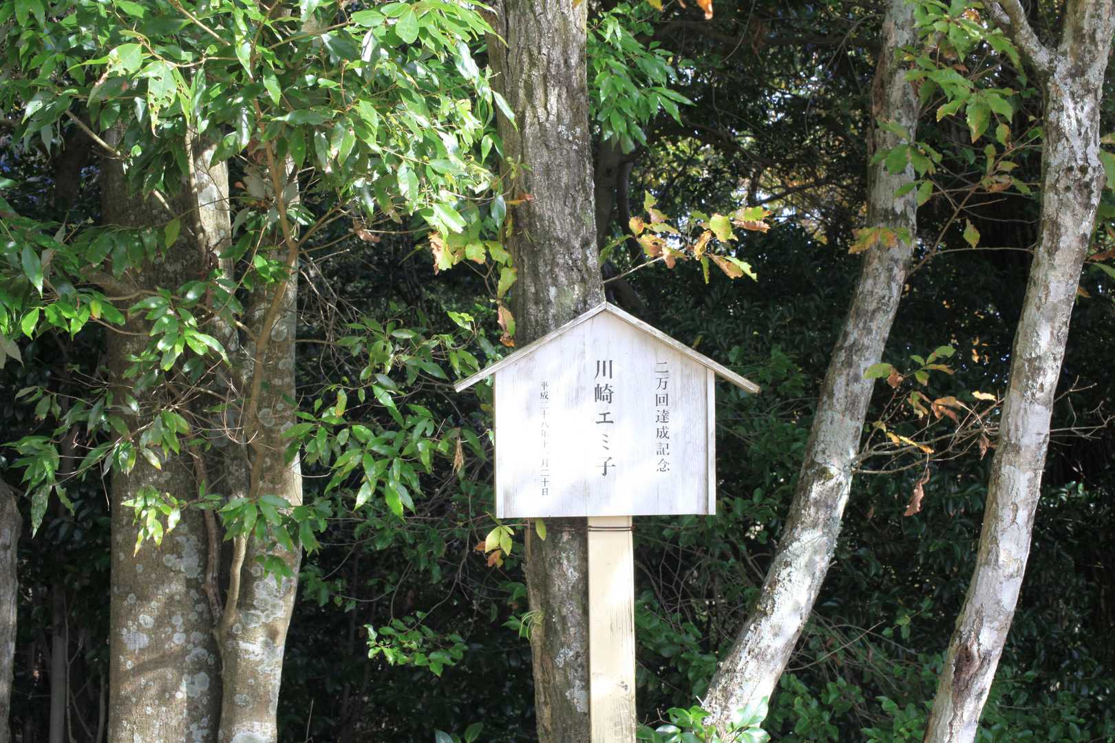 ２万回登ったの？素晴らしい。確かに飽きの来ない山だと思う。
