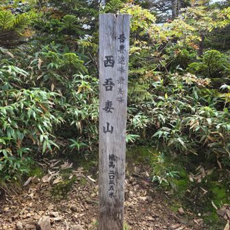 地味に山頂