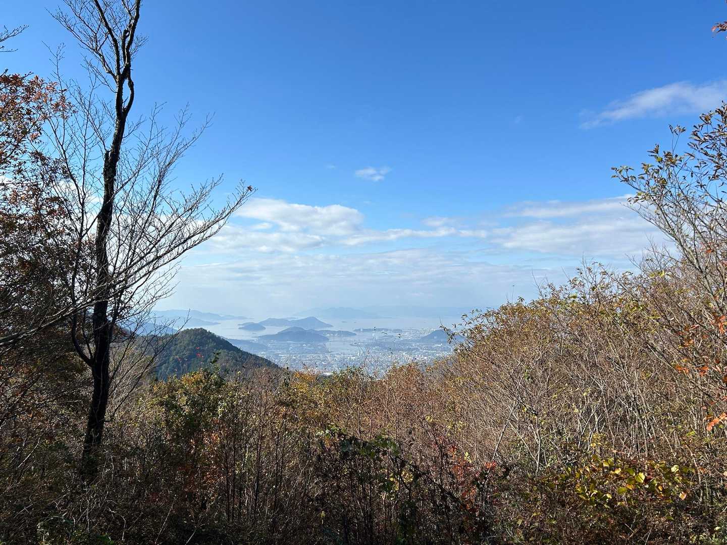 みはらし広場から