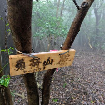 🐰兎荷山
ココに至るまで山城の遺構のような感じがする不自然な地形（凸凹とか）が見受けられましたが、自分の知識・眼力では何とも言えません😓