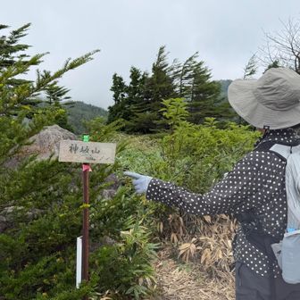 神坂山
こちらはそんなに展望開けてない