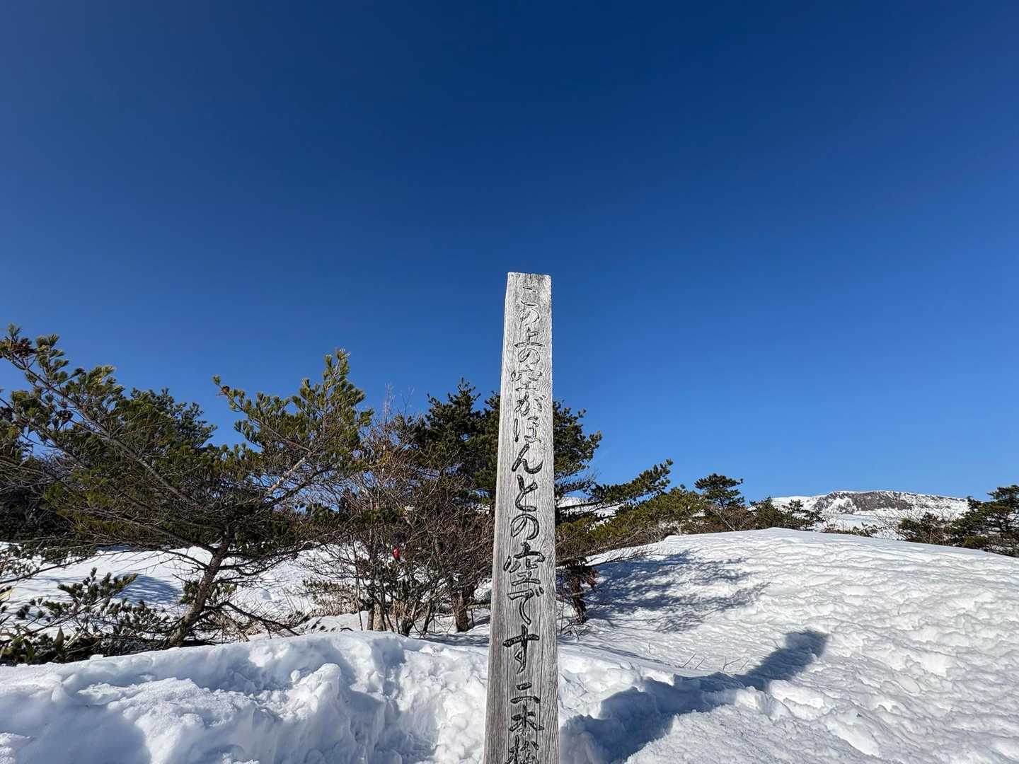 奥岳-薬師岳-安達太良山 往復コースの写真