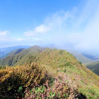 こんなところまで
小学校の遠足で
良く来たもんだ