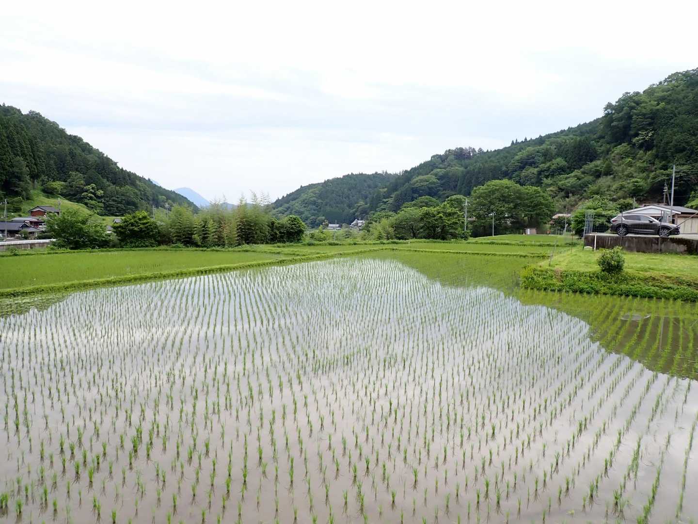 
御杖村の長閑な田園風景🌱